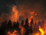 Waldbrand.jpg