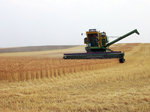 harvesttime1028.jpg