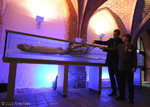 Architeuthis_dux_sanctipauli_DMM_Totale_Reinicke_Miske.jpg