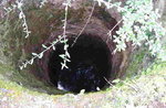 Brunella%20Brunnen.jpg
