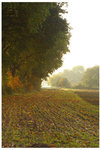 Autumn_by_TheCaspar.jpg