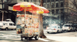 hot-dog-615.gif