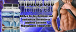 tribulus_banner(1).jpg