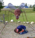 giant-mosquito-bites-riesenmoskito-riesenmuecke-end-of-alaska-highway-mile-1422-delta-junction-a.jpg