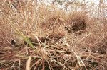 camouflaged-sniper.jpg