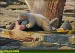 baby_polar_bear_attack.jpg