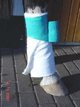 VerbandAlflex.jpg
