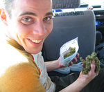 weed1mm7.jpg