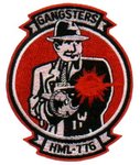 hml776_insig.jpg