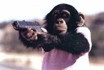 affe.jpg