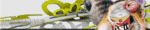 rrsigkopie1ou.gif