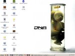 desktop1dr.jpg