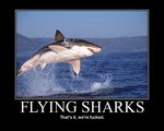 flying-sharks.jpg