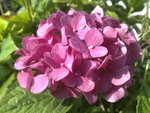 08082008202.jpg