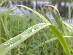 08082008209.jpg