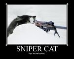 sniper_cat.sized.jpg
