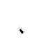 VHP71944.gif