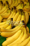 istockphoto_249394_bananas.jpg