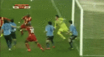 1278134275610pvrf.gif