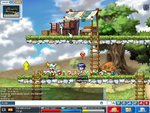 maple0008mv0.jpg
