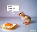 funny-pictures363.jpg