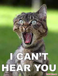 funny-pictures12.jpg