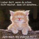 fettekatze.jpg