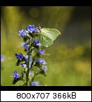 dsc_02168qu6.jpg