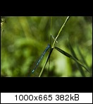 dsc_0259xoku.jpg