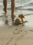 thumbs_Picsis%20Pix%20Mix%2017_22.jpg