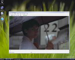 vlc-vista-play-bin-file.png