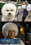 picdump-13xlze.jpg