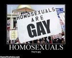 homosexuals-gay-demotivational-posters.jpg