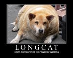 longcat_widedog_framed.jpg
