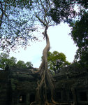 dscf228065uyf.jpg