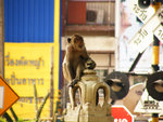 dscf2641t0uy5.jpg