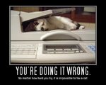 02-youre-doing-it-wrong.jpg