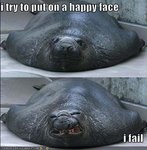 Happyfacefail.jpg