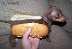 kleiner-Hot-Dog.jpg