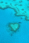 Reef-Heart.jpg