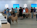 pferd-applestore.jpg