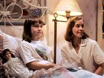 Matilda-matilda-4453885-640-480.jpg