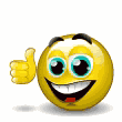 smiley-0389.gif