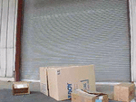 boxturtle5yfep1p.gif