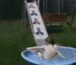 peekaboop10n.gif