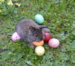 2204200020ostern206xk3.jpg