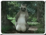 7.gif