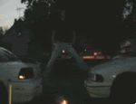 1246203908520-1.gif