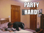 tumblr_kvakc5OI291qzwiiwo1_400.gif