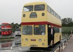ribble-white20lady20126yl4.jpg